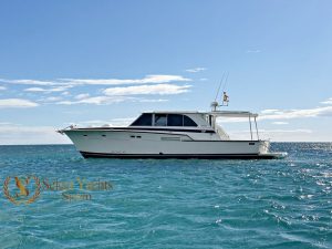 BERTRAM 46 CONVERTIBLE 01