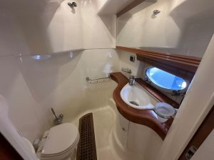 gobbi-atlantis-42-15